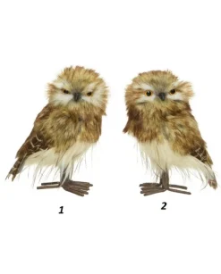 Addobbo Gufo In Poliestere 2 Mdoelli L8Xw10Xh15Cm 1Pz