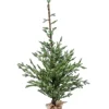 Albero Di Natale 210 Cm 350 Tips Con Base In Juta |