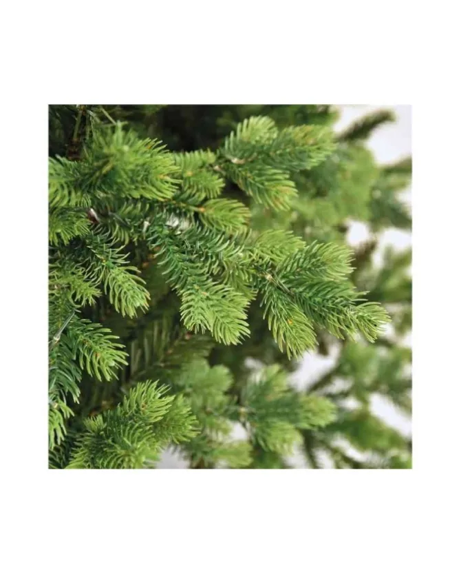 Albero Di Natale Led 210 Cm Madison 3000 Led |