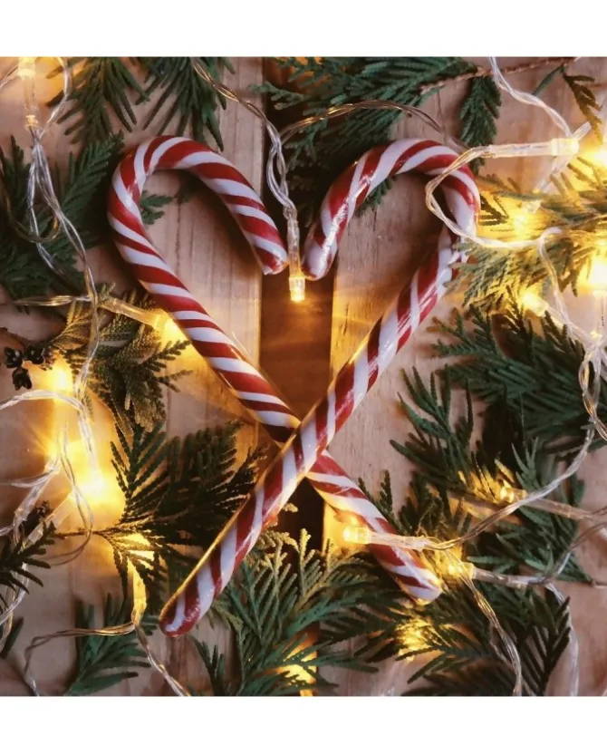 Catena Xtlg 360 Miniled 4+25,7M