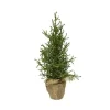 Mini Albero Glitter Argento Da Internocolore Greenmisura Dia12.00-H30.00Cm