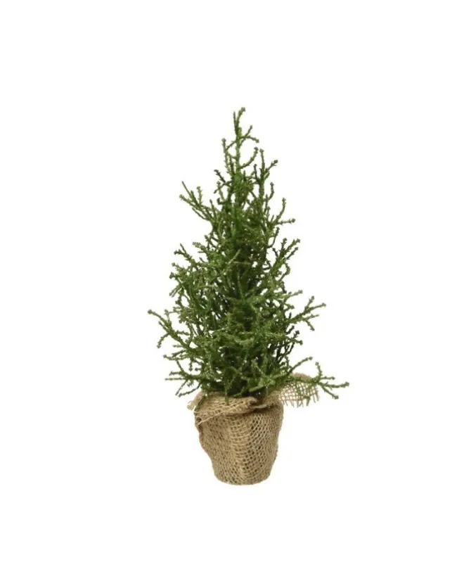 Mini Albero Glitter Argento Da Internocolore Greenmisura Dia12.00-H30.00Cm