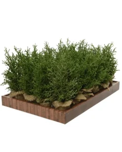 Mini Albero Glitter Argento Da Internocolore Greenmisura Dia12.00-H30.00Cm