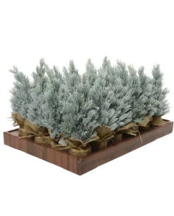 Mini Albero Smerigliato Da Interno Colore Green/Whitemisura Dia12.00-H30.00Cm