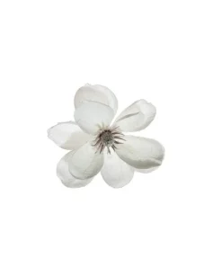 Pick Magnolia Innevata 24Cm Bianca Per Decorazioni
