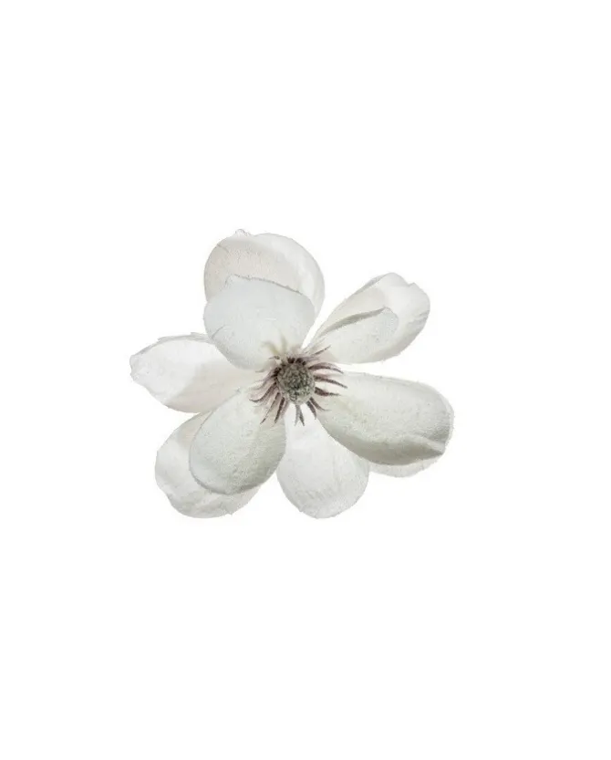 Pick Magnolia Innevata 24Cm Bianca Per Decorazioni
