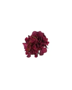 Pick Ortensia Innevata 21Cm Burgundy Per Decorazioni Di Natale