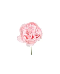 Pick Peonia O11Cm H19Cm Cipria O11Cm H19Cm Per Decorazioni Di Natale