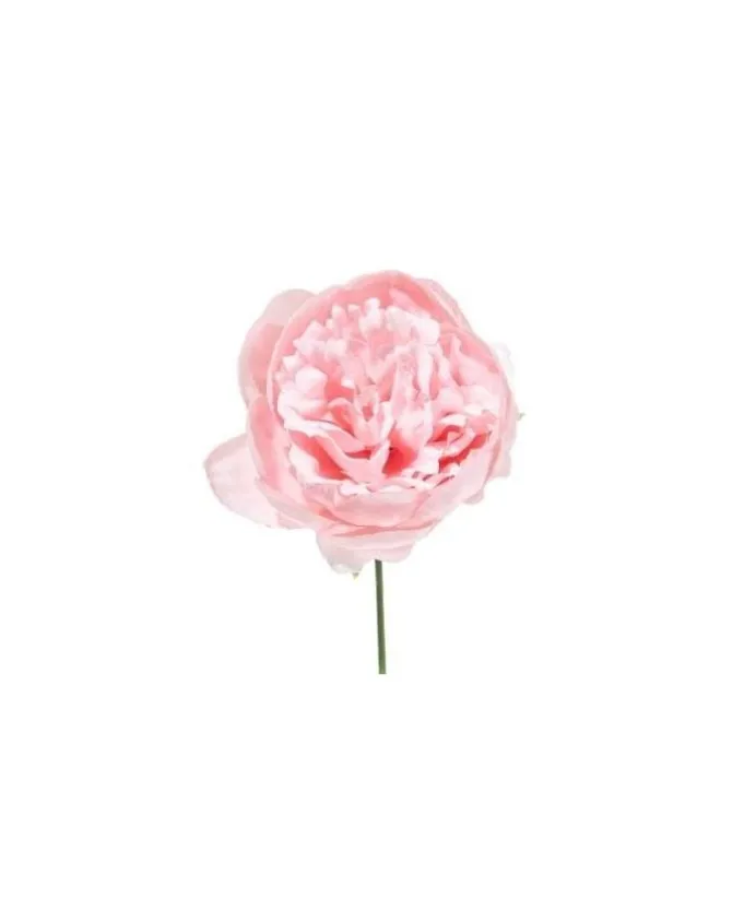 Pick Peonia O11Cm H19Cm Cipria O11Cm H19Cm Per Decorazioni Di Natale
