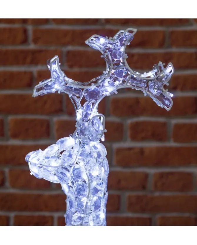 Renna Acp 100 Led 4M+H70Cm