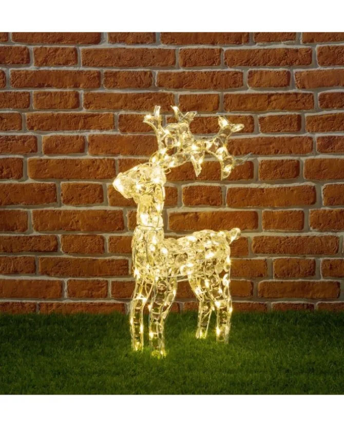 Renna Di Cristalli Acrilico 100 Led 4M+H70Cm