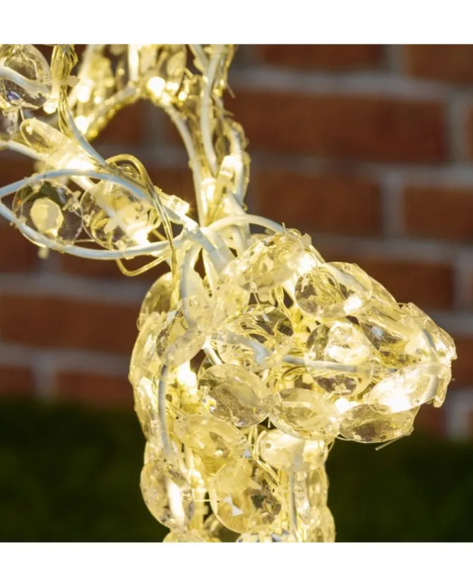 Renna Di Cristalli Acrilico 100 Led 4M+H70Cm