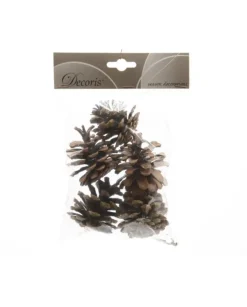 Sacchetto Pigne Naturali