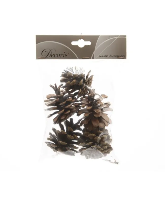 Sacchetto Pigne Naturali